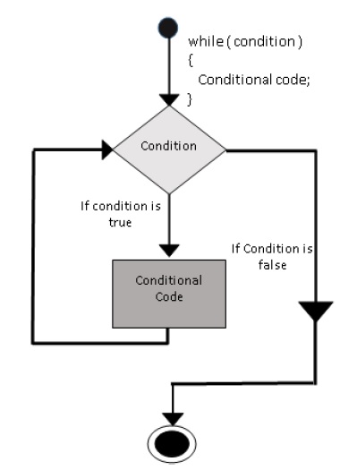 while loop in C