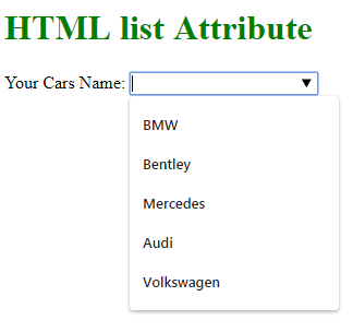 HTML list attribute