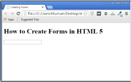 html5 form1 example output