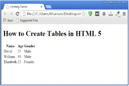 HTML 5 Table Tag Example