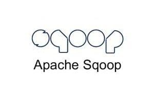 Apache Sqoop Logo