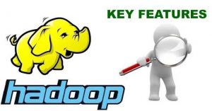 Hadoop Key Features