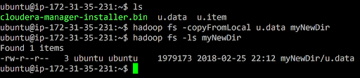 Hadoop copyFromLocal Command