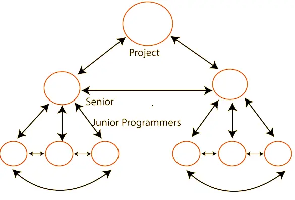 Personnel Planning Controlled Decentralized Team Structure