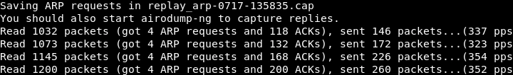 arp-request-replay-attack-output