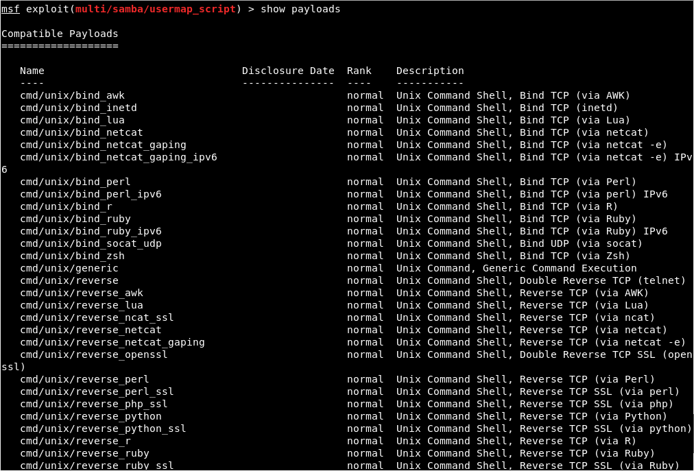 exploiting-a-code-execution-vulnerability4